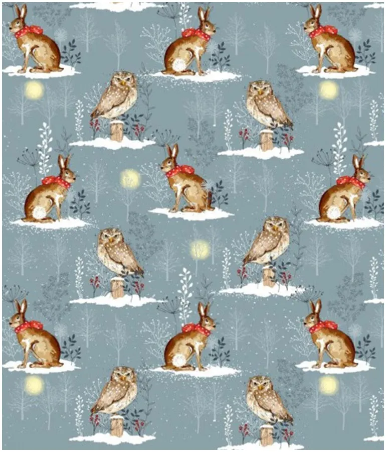 Winter Moon Owl and Hare (teething bib)